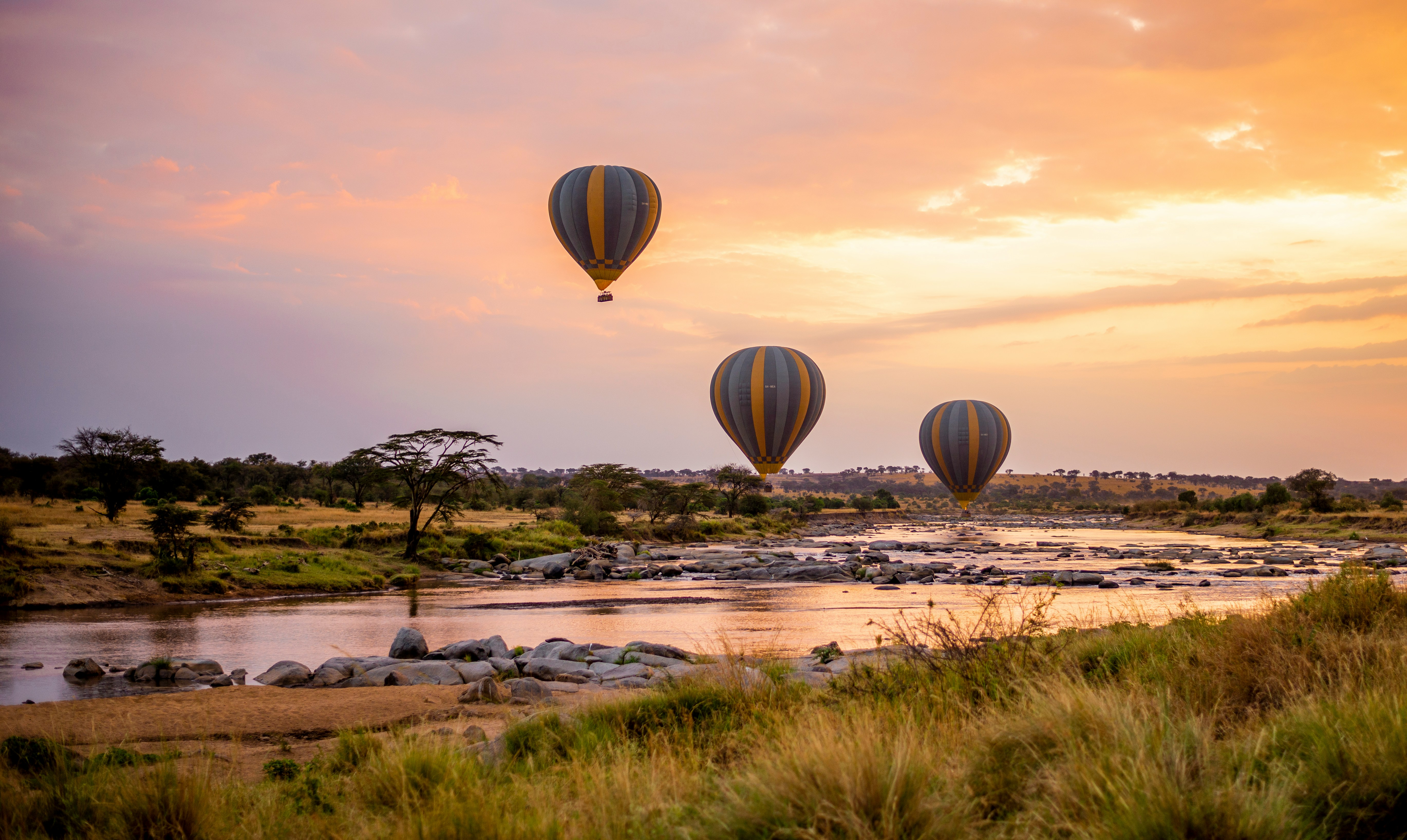 Dawn breaking over the Maasai Mara with wildebeest herds